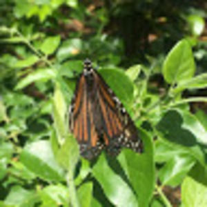 Meet your Posher, Marisa